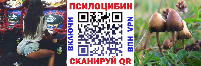 Псилоцибиновые грибы GOLDEN TEACHER  купить наркотики цена  Удачный 